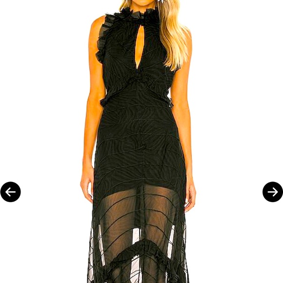 RARE RETROFETE DINA BLACK ZEBRA MAXI DRESS SOLD OUT. - Picture 1 of 3